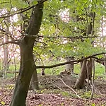 民宿 Nyopfort Luksusvaerelse I Naturskonne Og Rolige Omgivelser *