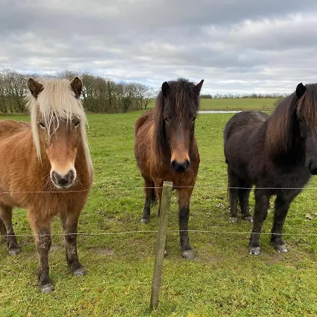 Homestay Nyopfort Luksusvaerelse I Naturskonne Og Rolige Omgivelser Branderup