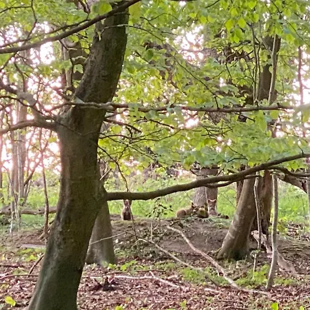Homestay Nyopfort Luksusvaerelse I Naturskonne Og Rolige Omgivelser *