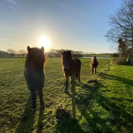 Nyopført Luksusværelse I Naturskønne Og Rolige Omgivelser
