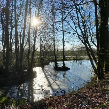 Privat bolig Nyopført Luksusværelse I Naturskønne Og Rolige Omgivelser Branderup