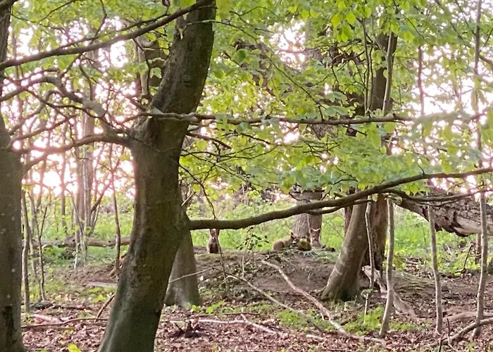 Homestay Nyopfort Luksusvaerelse I Naturskonne Og Rolige Omgivelser *